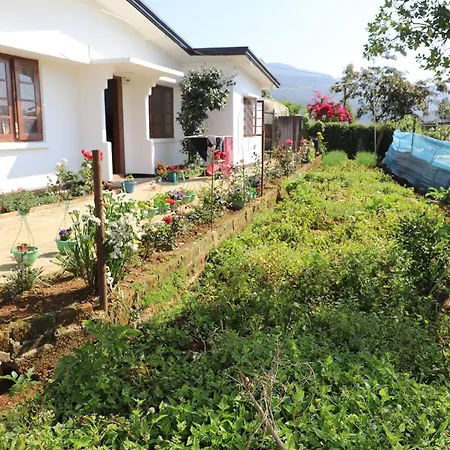 Dawn's Villa