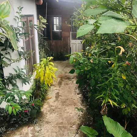 Homestay And Nuwara Eliya