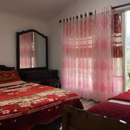 Forest View Hotel *