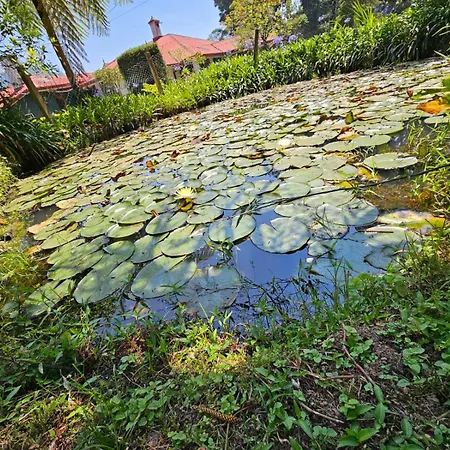 Meena Ella Colonial Bungalow Holiday home *