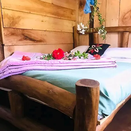 The Paulwood Homestay *