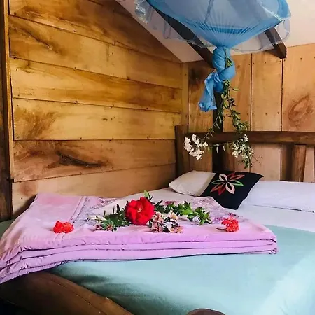 Homestay The Paulwood