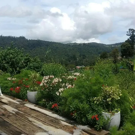 Container Edge Nuwara Eliya