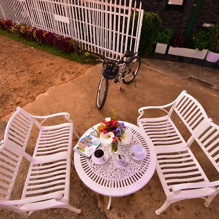 Hotel New Rock