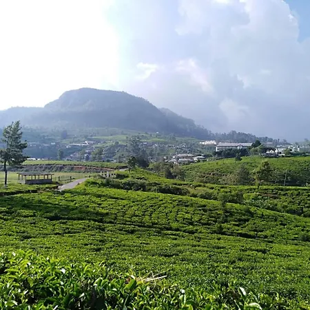 Tealeaf Hotel 3*