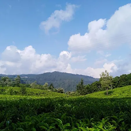 Hotel Tealeaf