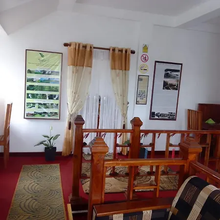 Tealeaf Nuwara Eliya