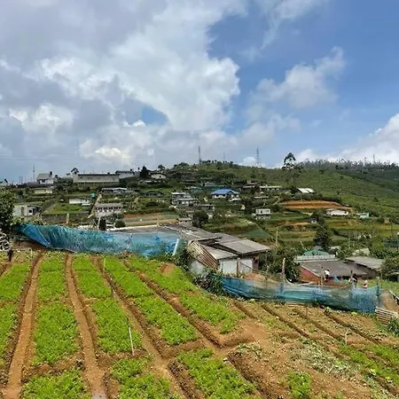 Dawn's * Nuwara Eliya