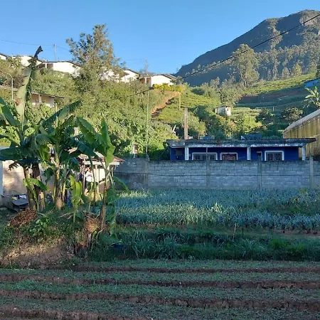 Green Villa *