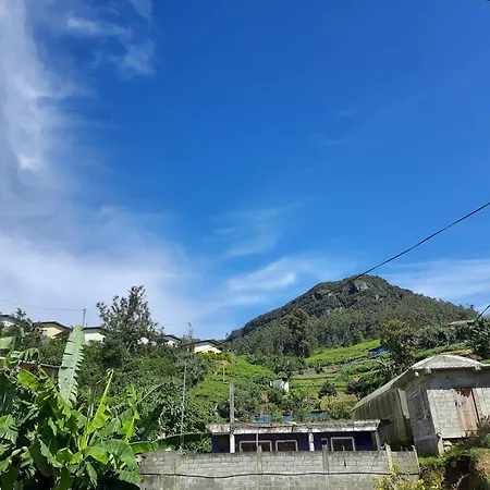 Green Villa