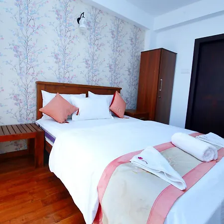 Nelma's Cosy Apartment Nuwara Eliya