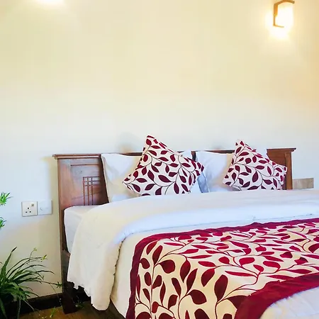 Star Guest house