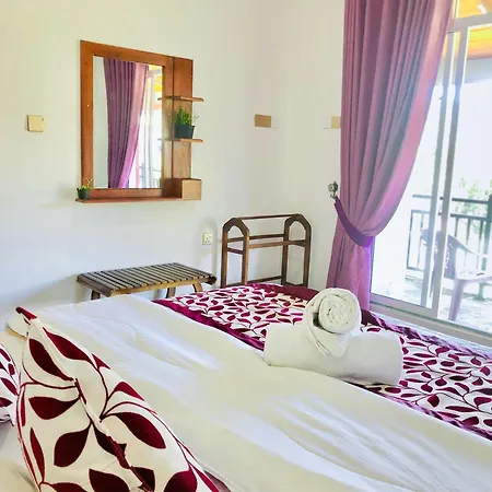 Star Guest house 3*
