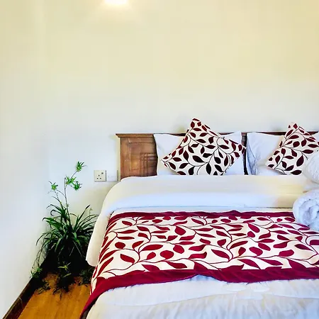 Guest house Star