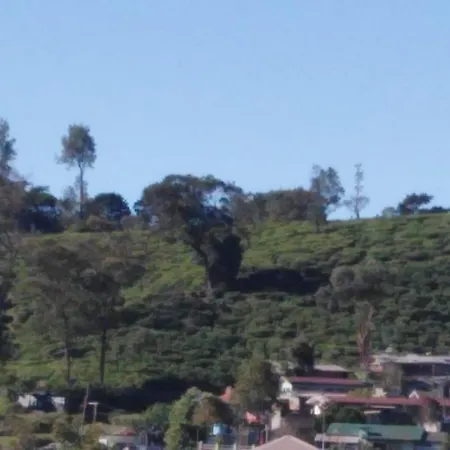 Frosty Heaven Guest House 4* Nuwara Eliya