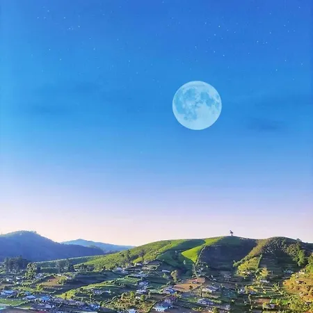 7000 Feet - A Cozy Mountain View Retreat In *