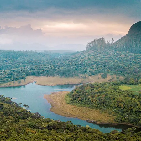 The Forest And By Schofieldshire Nuwara Eliya