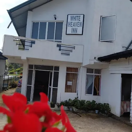 Hotel New White Heven *