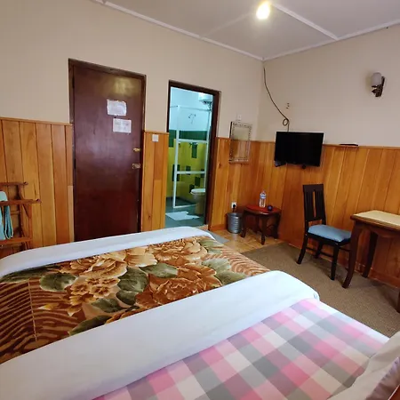 Carnation Rest 4*