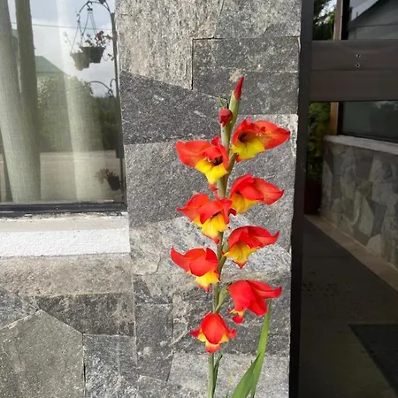 Guest house Happy Trust Happy