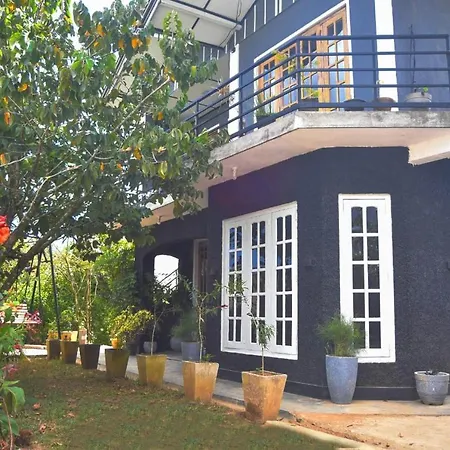Heart Of The Hill Homestay