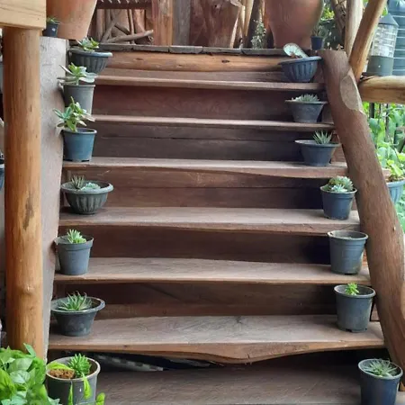 Eco Creations Nuwaraeliya