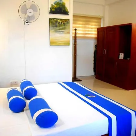 Bed & Breakfast Nature First 3*