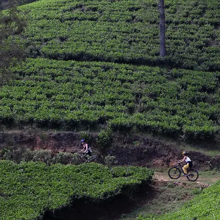 Hotel Heritance Tea Factory (adults Only) 5*