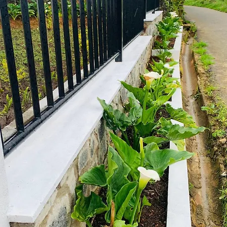 Lilys Nuwaraeliya Hotel Nuwara Eliya