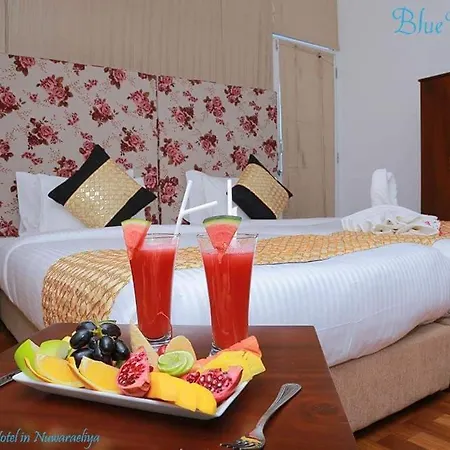 Blue Meadows Nuwaraeliya 3*