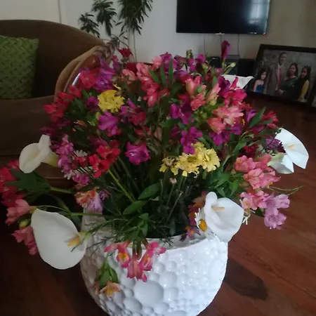 Royal Wattles Nuwara Eliya
