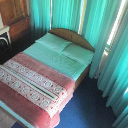 Hotel Rising Lion