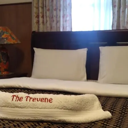 The Trevene 2*
