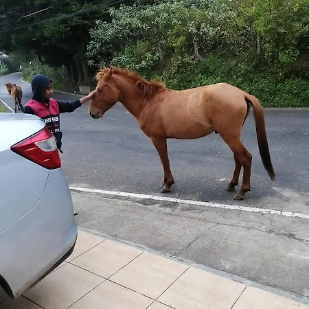 Roseberry Hotel Nuwara Eliya