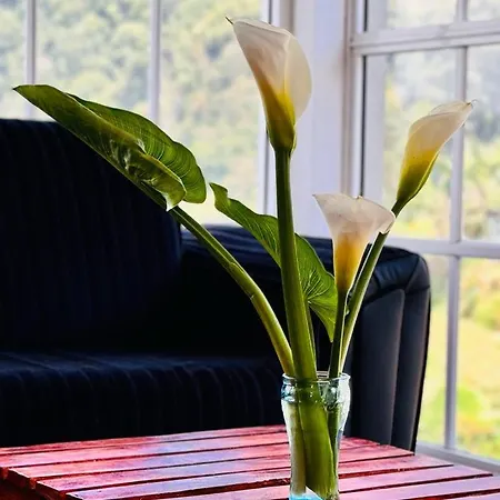 Guest house Shalika Homes Nuwara Eliya
