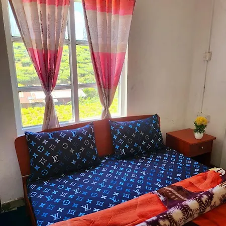 Guest house Green *