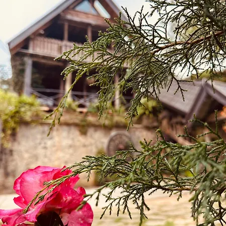 47 Nuwaraeliya