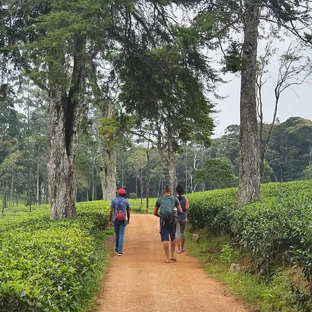 Dover * Nuwara Eliya