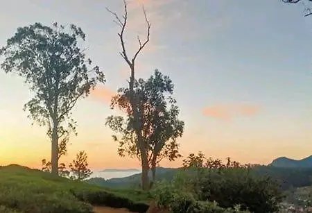 The Paulwood Homestay Nuwara Eliya