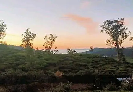 Homestay The Paulwood