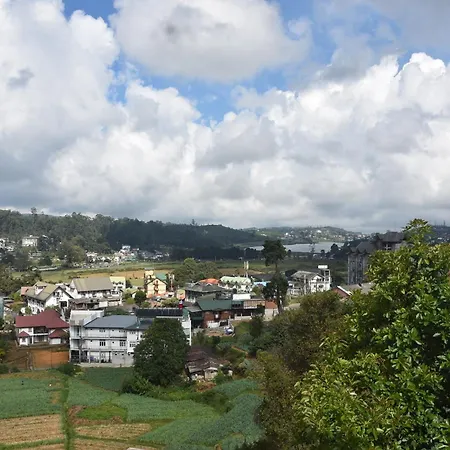 Birds Peak Nuwaraeliya *