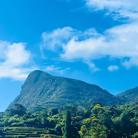 Bloomingdale - Nuwaraeliya