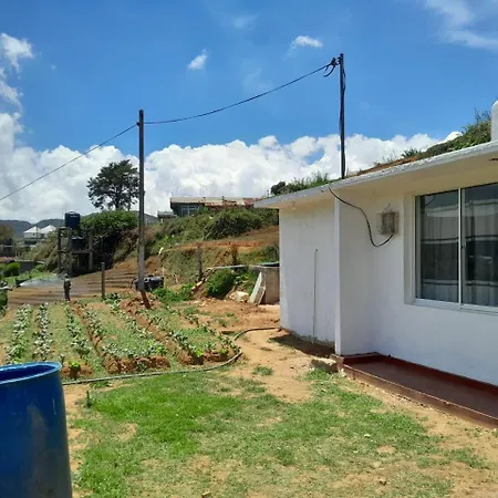 Harrisline Holiday home