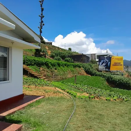Harrisline Holiday home