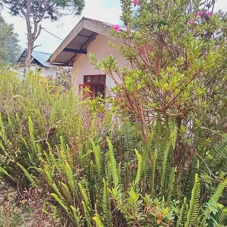22 * Nuwara Eliya