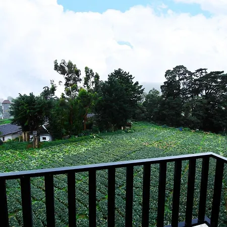 Nelma's Cosy Nuwara Eliya
