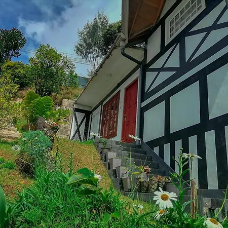 Tea Bound Homestay