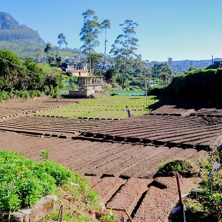 Homestay St Elmo Nuwara Eliya