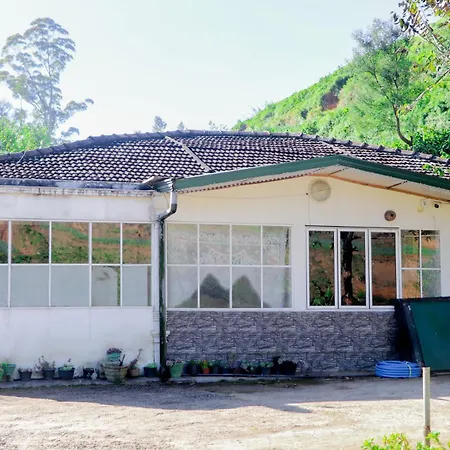 Homestay St Elmo *