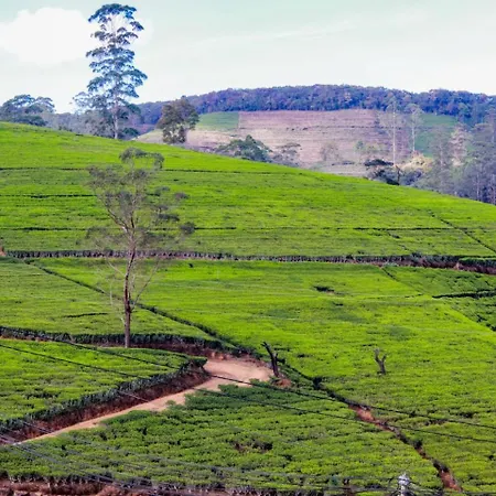 The Tranquill * Nuwara Eliya